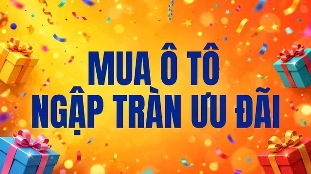 Địa điểm hỗ trợ xem xe tại Hà Giang
